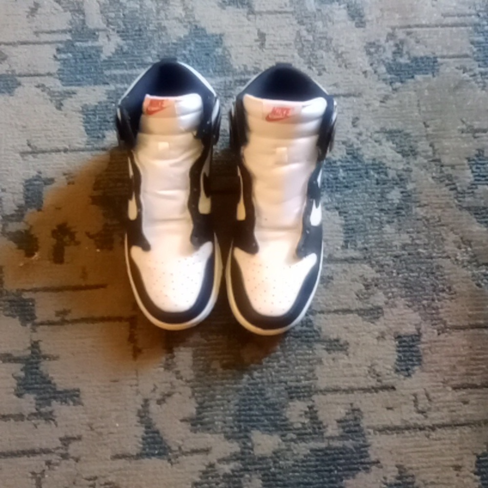 Nike Dunk